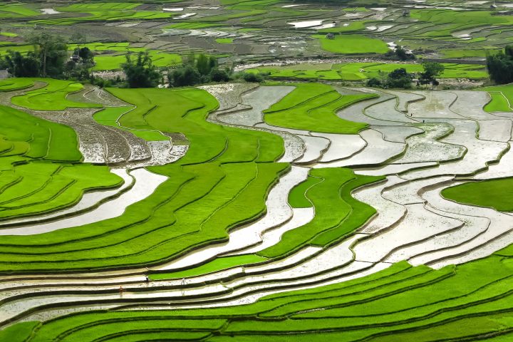 Hà Nội - Sapa - Fansipan - Hà Nội