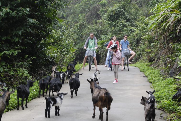 Cat Ba biking trip